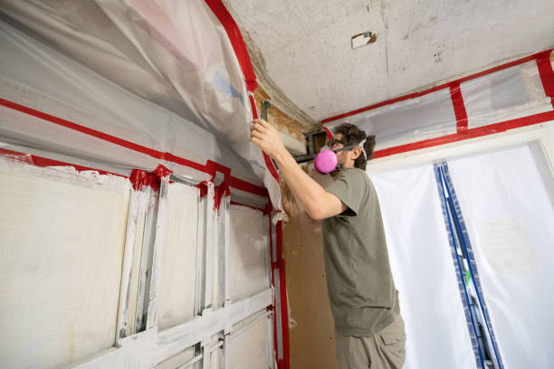 Best Mold Odor Removal Services  in Parklawn, CA