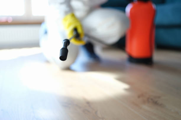 Mold Remediation for Rental Properties in Parklawn, CA